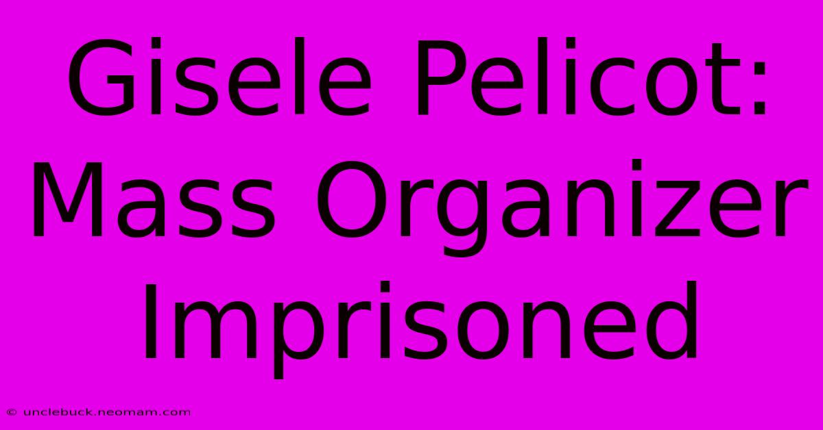 Gisele Pelicot: Mass Organizer Imprisoned