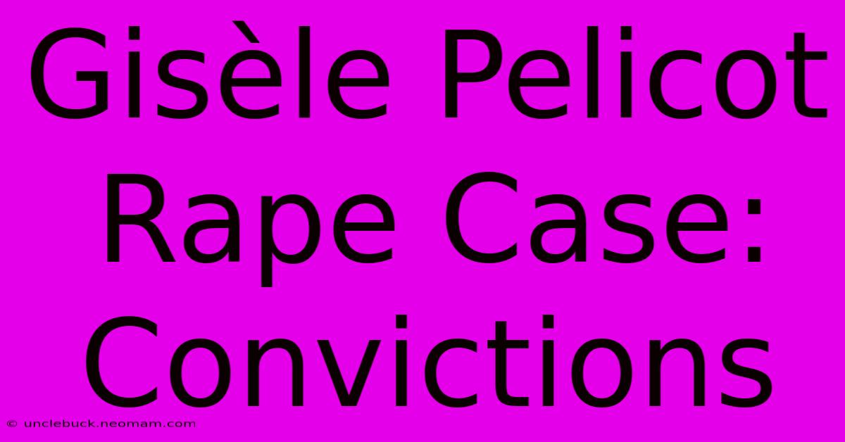 Gisèle Pelicot Rape Case: Convictions