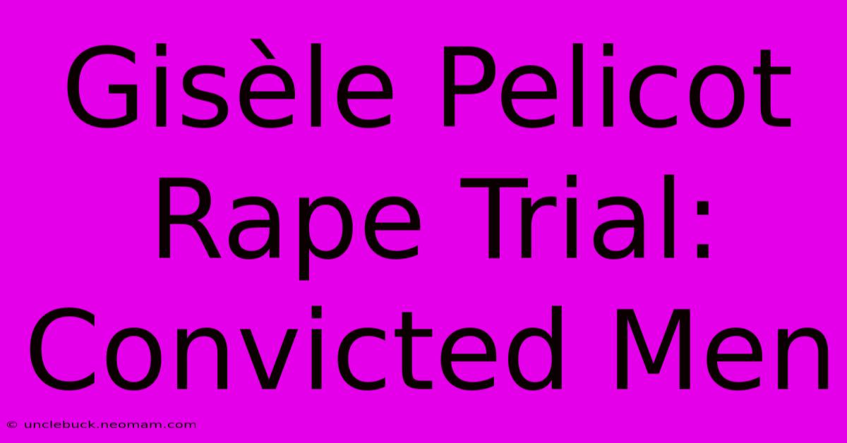 Gisèle Pelicot Rape Trial: Convicted Men