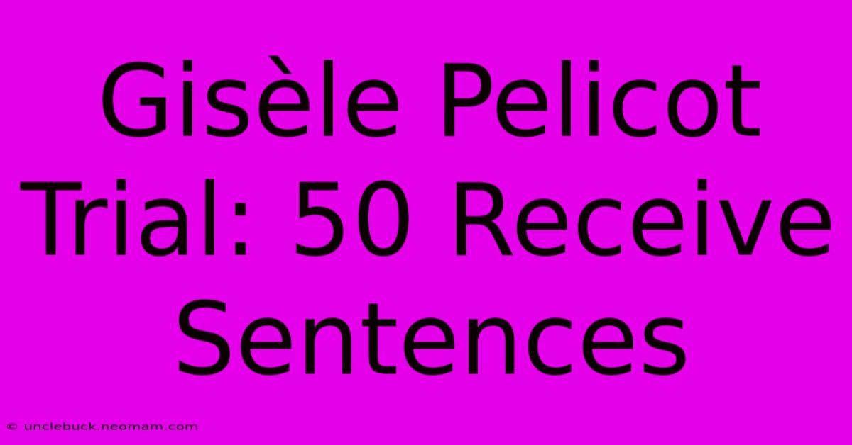 Gisèle Pelicot Trial: 50 Receive Sentences