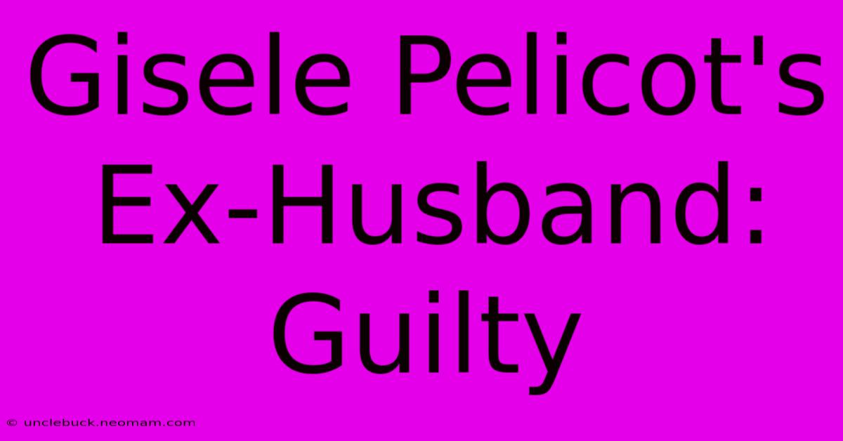 Gisele Pelicot's Ex-Husband: Guilty