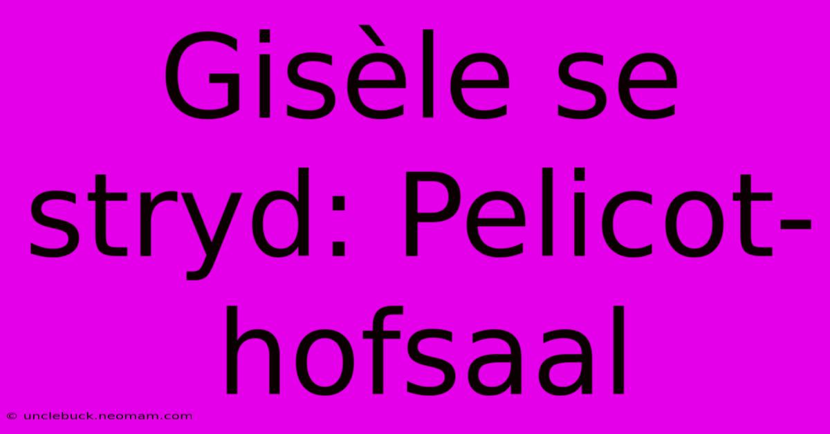 Gisèle Se Stryd: Pelicot-hofsaal