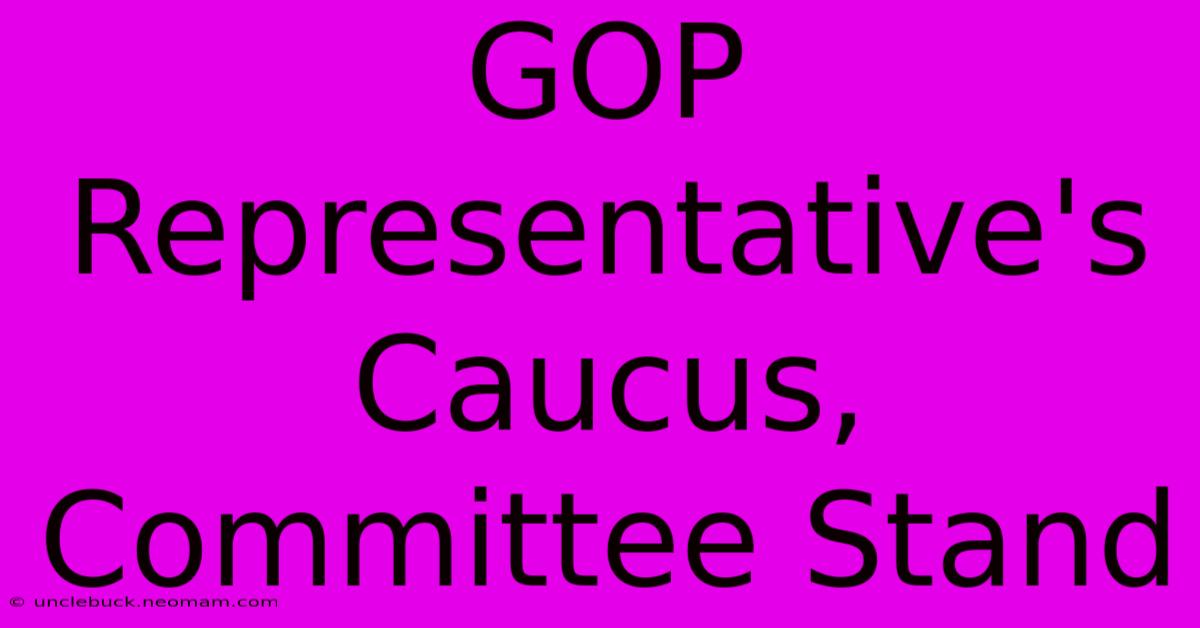 GOP Representative's Caucus, Committee Stand