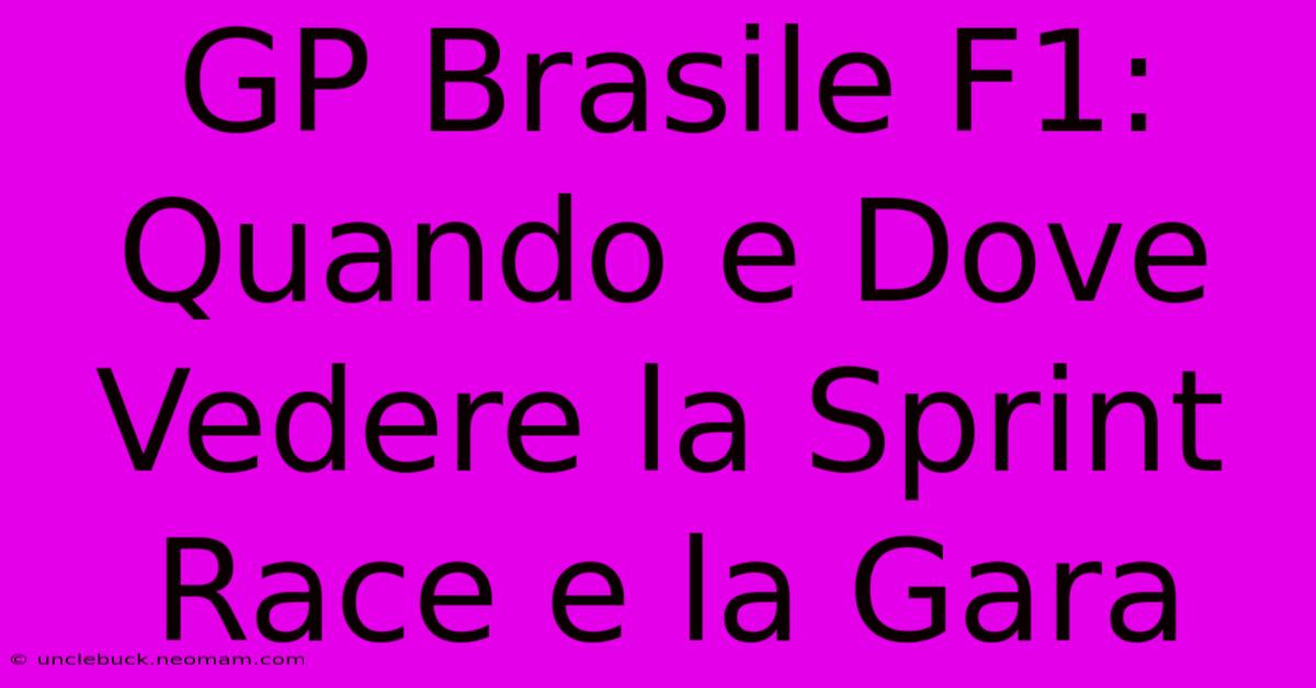 GP Brasile F1: Quando E Dove Vedere La Sprint Race E La Gara