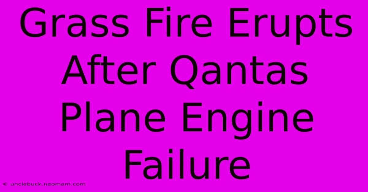 Grass Fire Erupts After Qantas Plane Engine Failure 