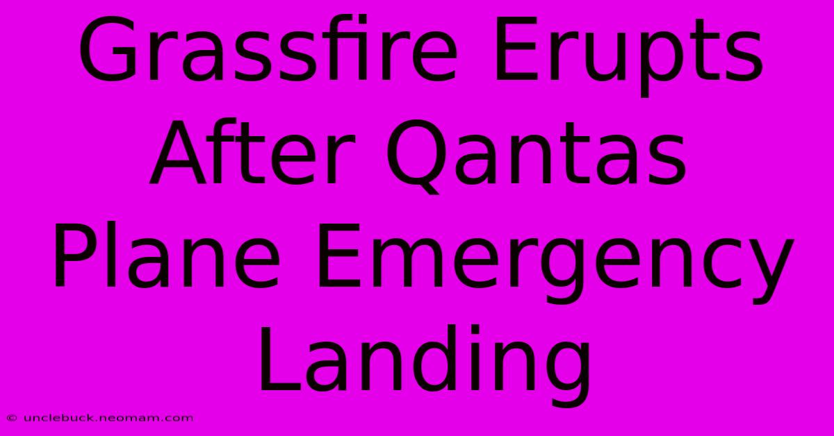 Grassfire Erupts After Qantas Plane Emergency Landing