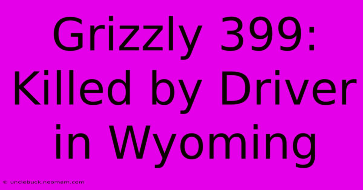 Grizzly 399: Killed By Driver In Wyoming