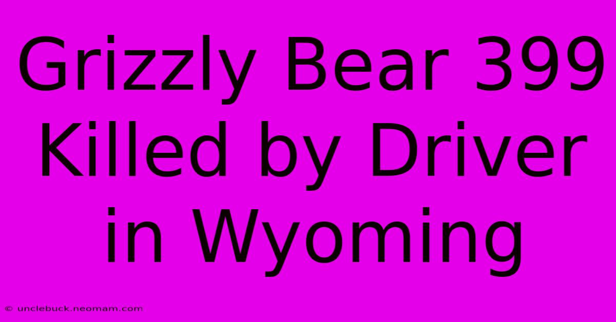 Grizzly Bear 399 Killed By Driver In Wyoming