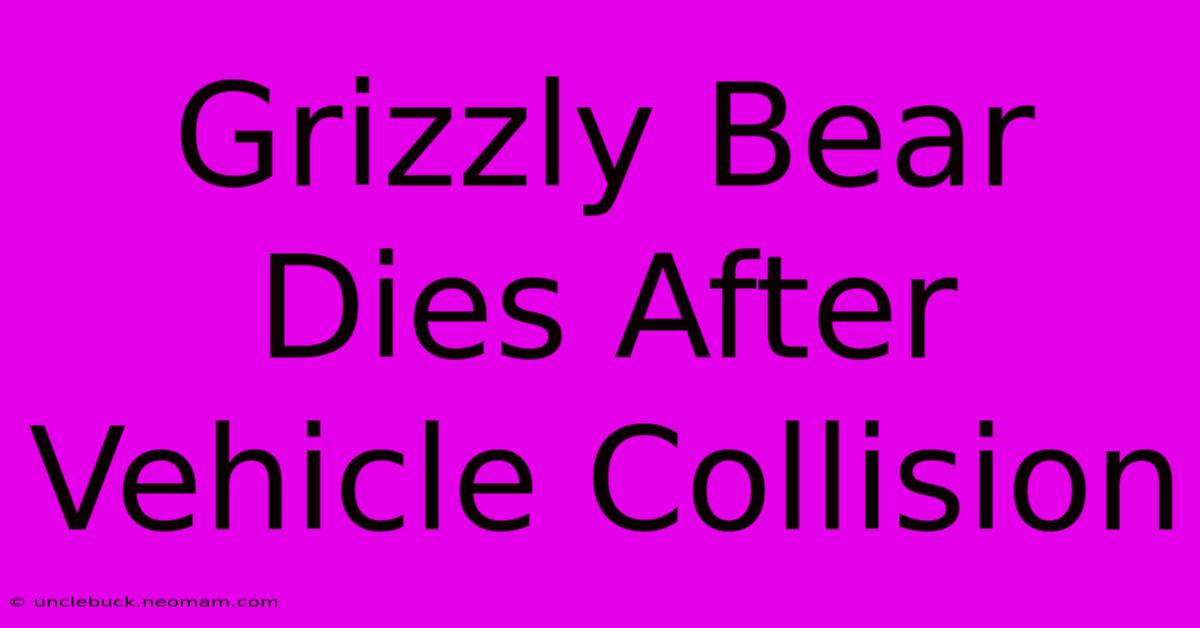 Grizzly Bear Dies After Vehicle Collision 