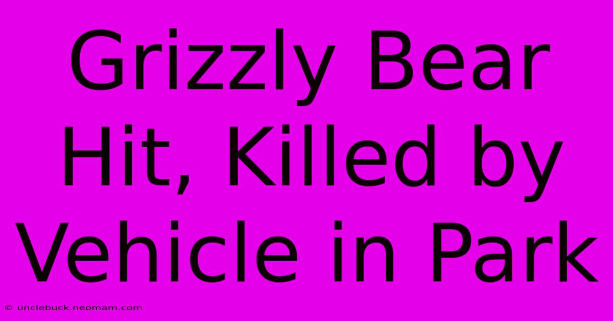 Grizzly Bear Hit, Killed By Vehicle In Park