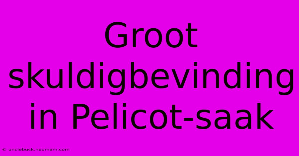 Groot Skuldigbevinding In Pelicot-saak