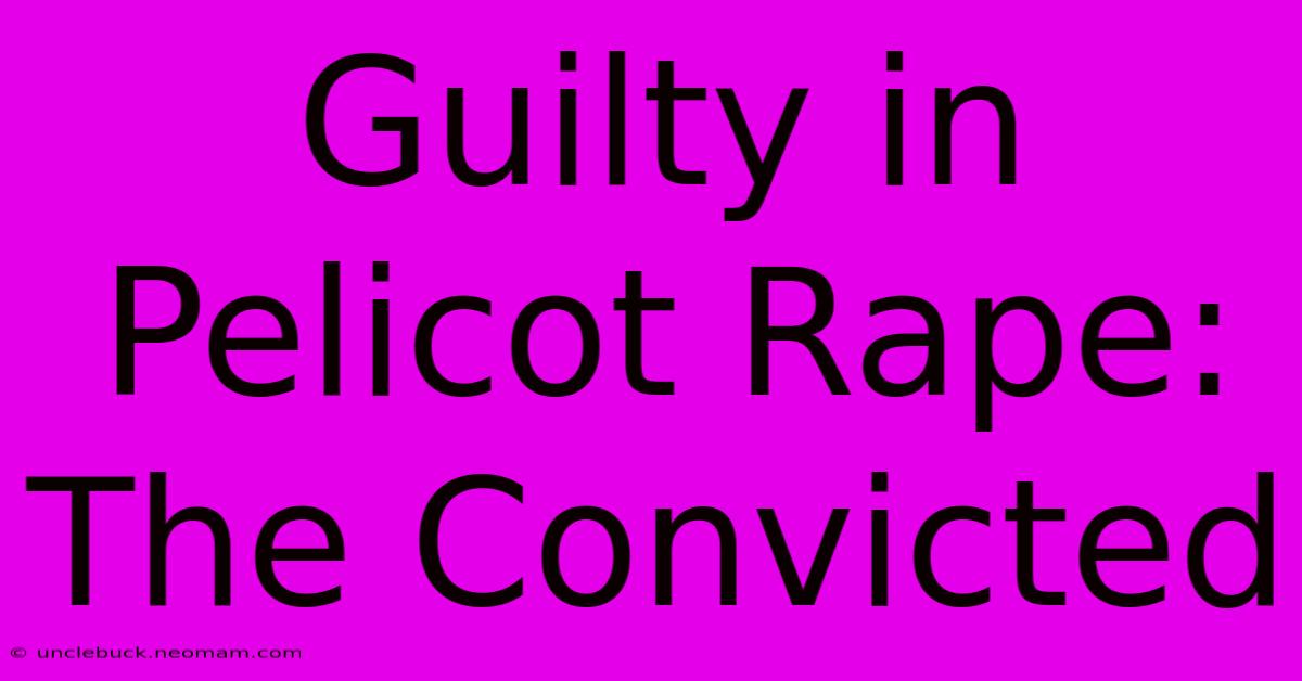 Guilty In Pelicot Rape: The Convicted