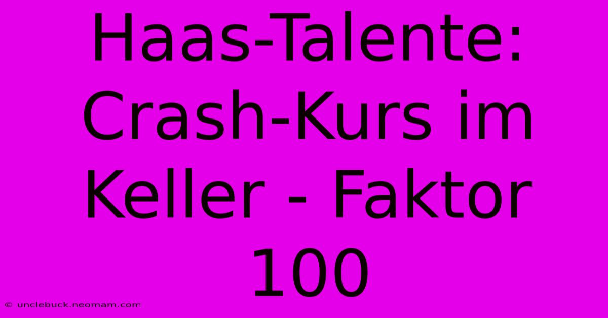 Haas-Talente: Crash-Kurs Im Keller - Faktor 100