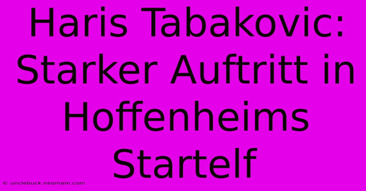 Haris Tabakovic: Starker Auftritt In Hoffenheims Startelf