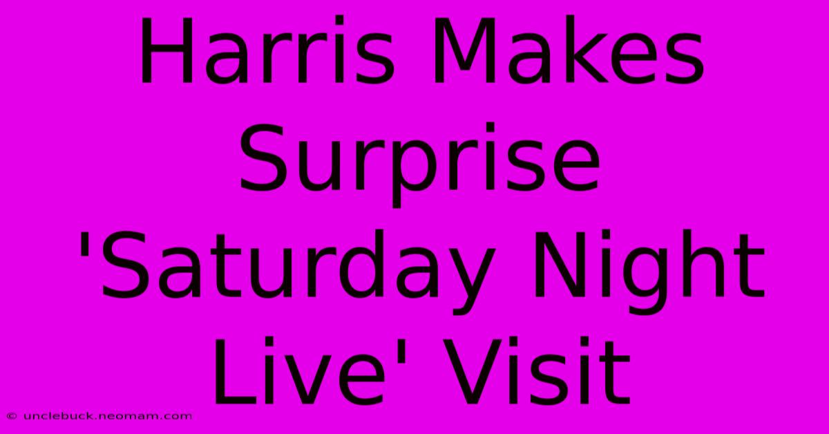 Harris Makes Surprise 'Saturday Night Live' Visit