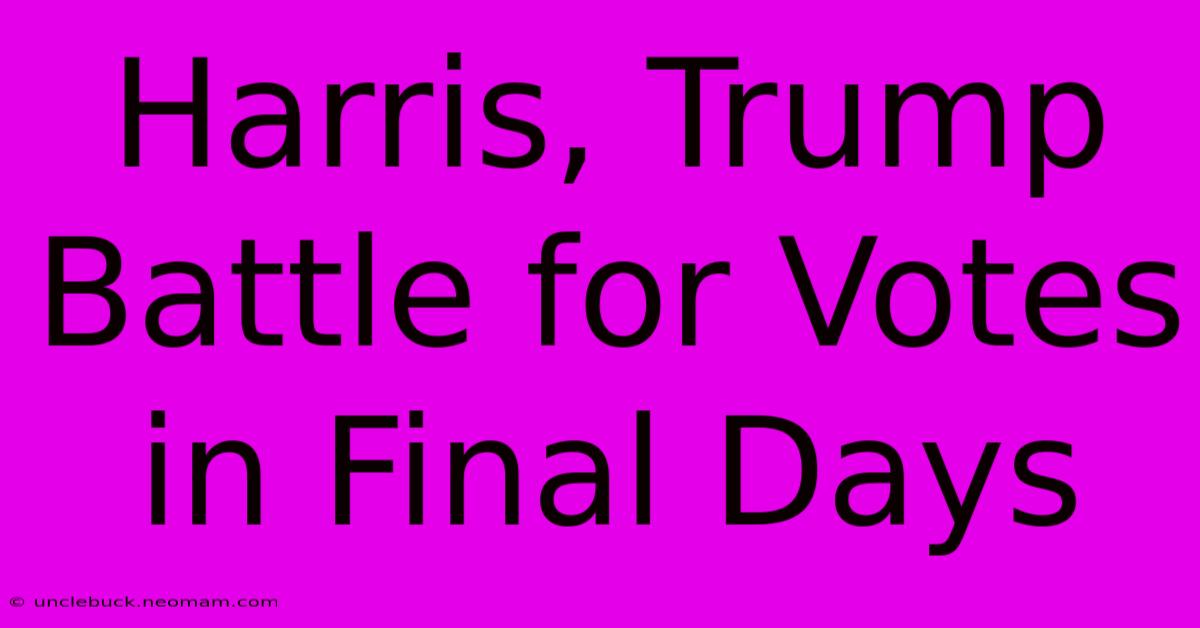 Harris, Trump Battle For Votes In Final Days 