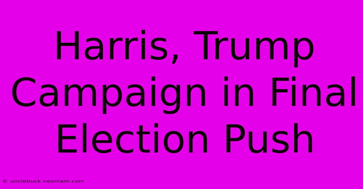 Harris, Trump Campaign In Final Election Push 