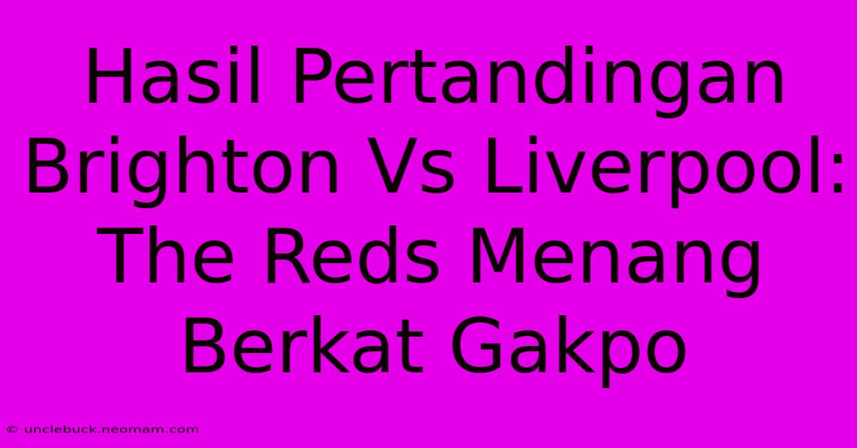 Hasil Pertandingan Brighton Vs Liverpool: The Reds Menang Berkat Gakpo