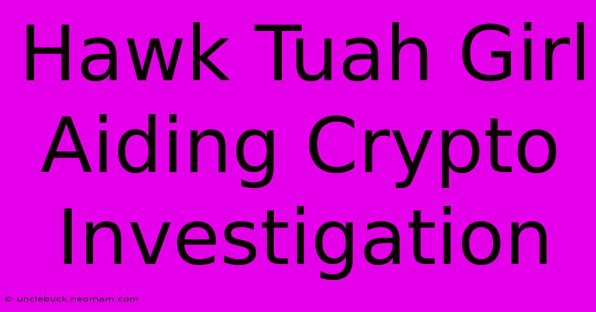 Hawk Tuah Girl Aiding Crypto Investigation