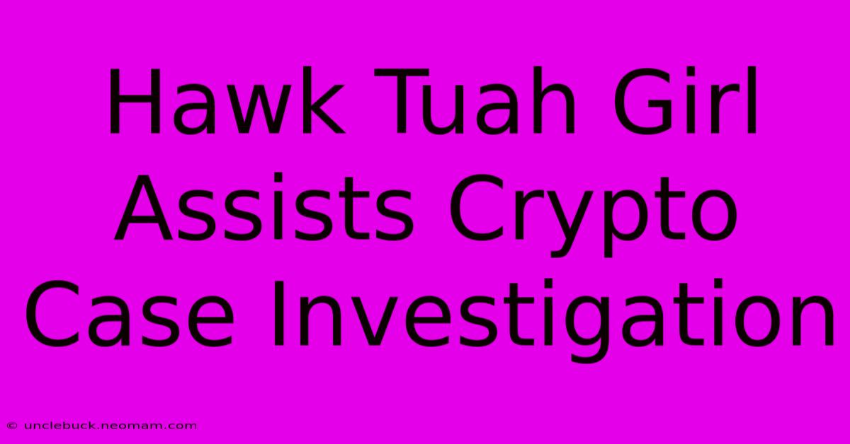 Hawk Tuah Girl Assists Crypto Case Investigation