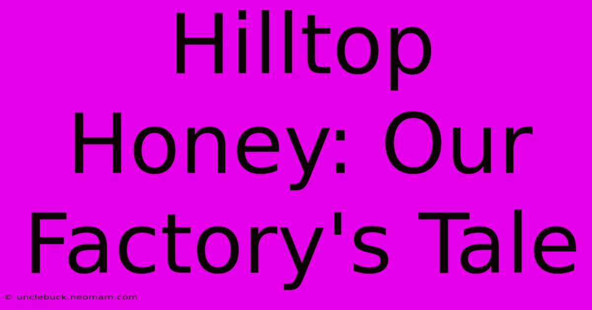 Hilltop Honey: Our Factory's Tale