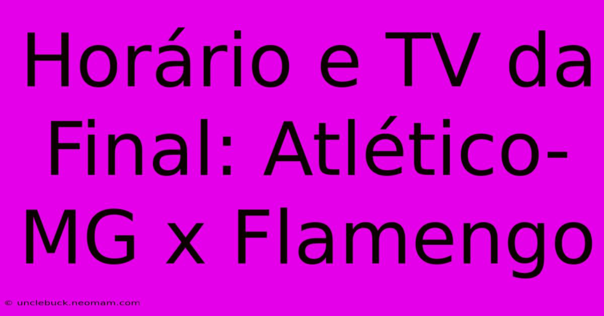 Horário E TV Da Final: Atlético-MG X Flamengo