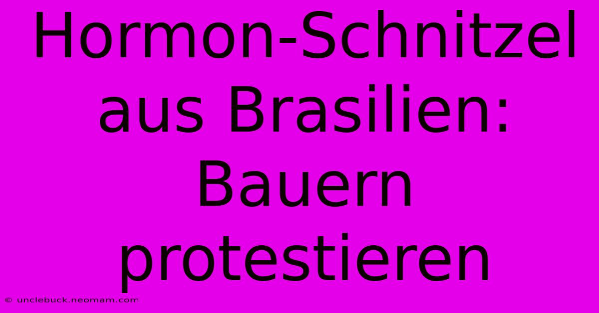 Hormon-Schnitzel Aus Brasilien: Bauern Protestieren