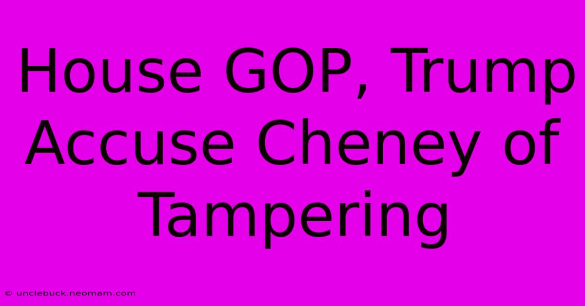 House GOP, Trump Accuse Cheney Of Tampering