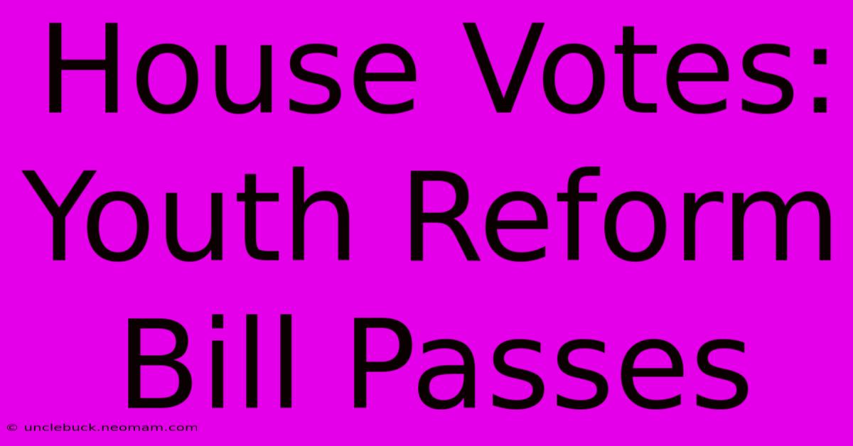 House Votes: Youth Reform Bill Passes