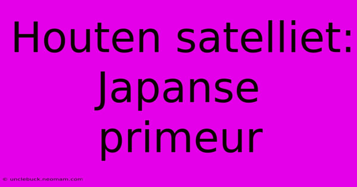 Houten Satelliet: Japanse Primeur