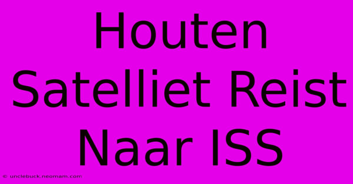 Houten Satelliet Reist Naar ISS