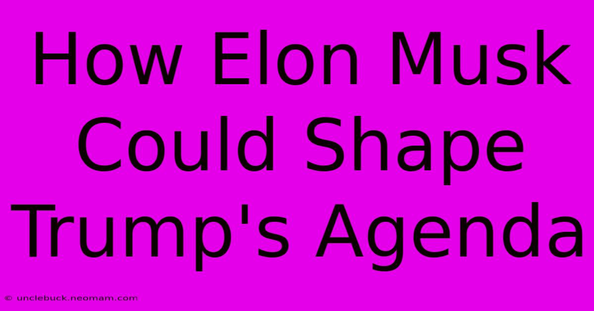 How Elon Musk Could Shape Trump's Agenda 