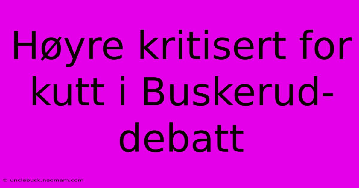 Høyre Kritisert For Kutt I Buskerud-debatt