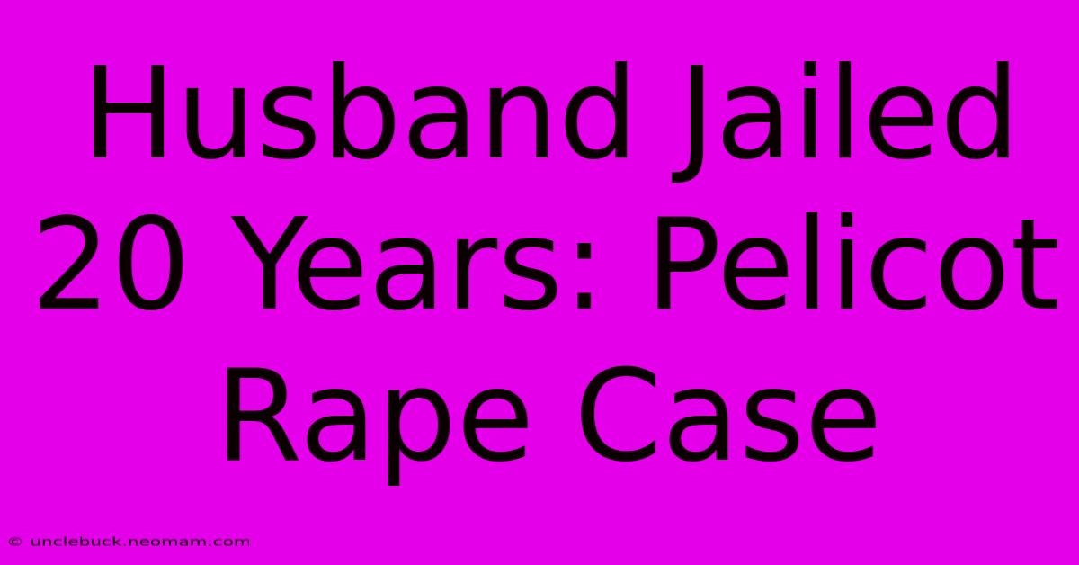 Husband Jailed 20 Years: Pelicot Rape Case