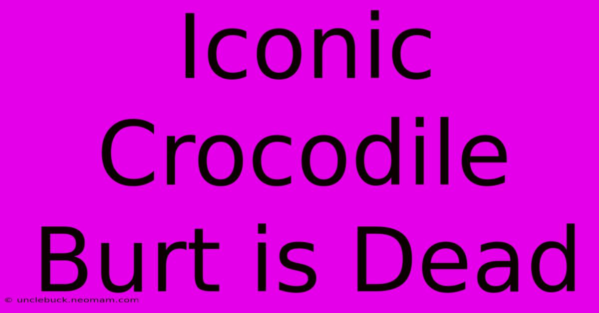 Iconic Crocodile Burt Is Dead