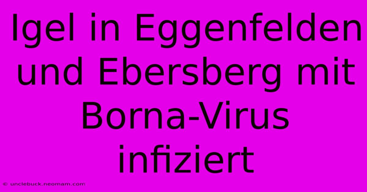 Igel In Eggenfelden Und Ebersberg Mit Borna-Virus Infiziert