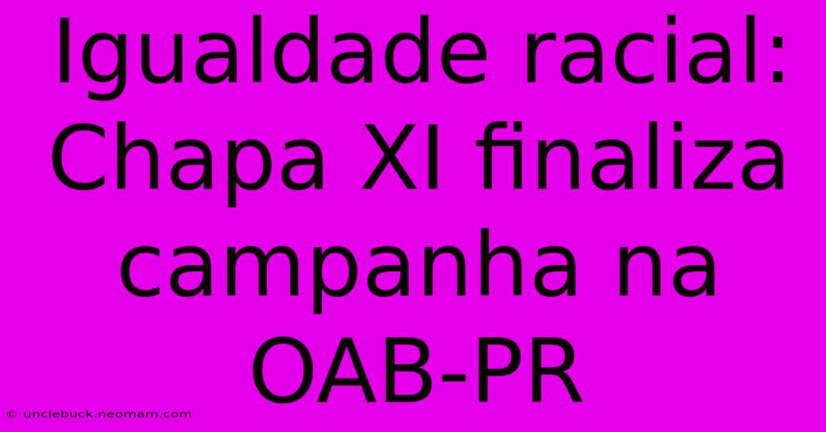 Igualdade Racial: Chapa XI Finaliza Campanha Na OAB-PR