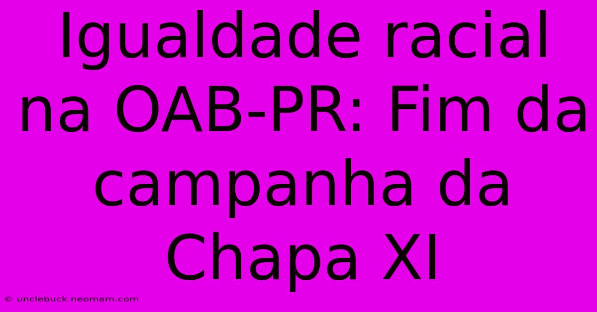 Igualdade Racial Na OAB-PR: Fim Da Campanha Da Chapa XI