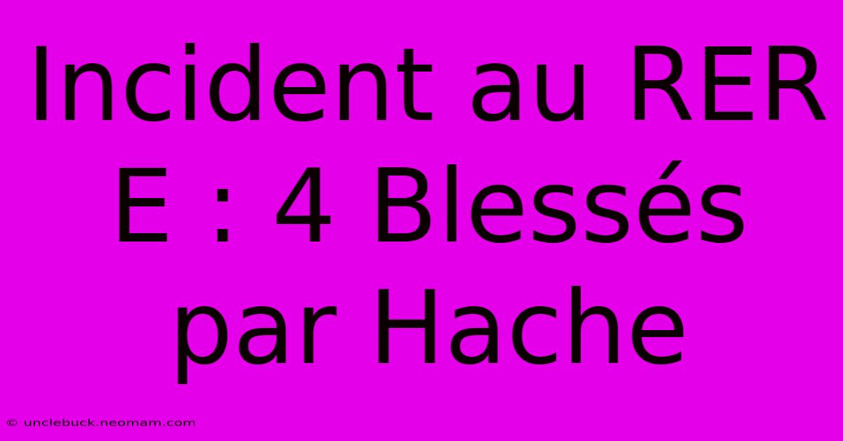 Incident Au RER E : 4 Blessés Par Hache 