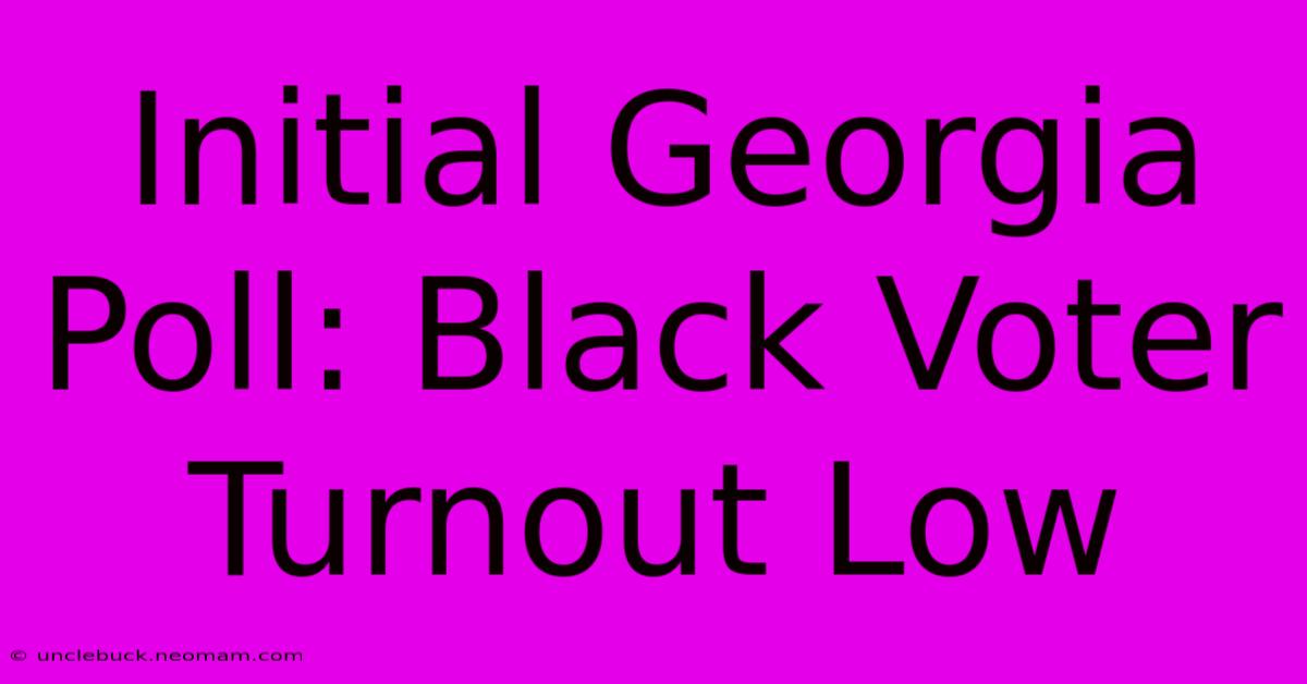 Initial Georgia Poll: Black Voter Turnout Low 