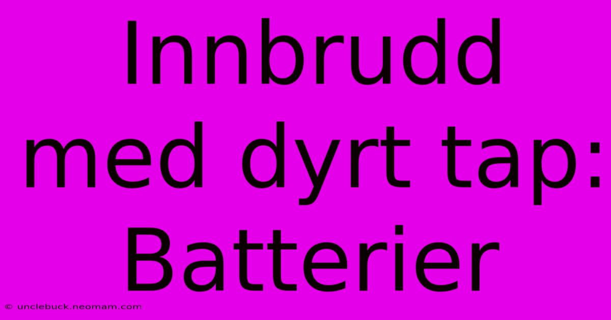 Innbrudd Med Dyrt Tap: Batterier