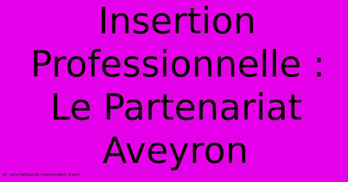 Insertion Professionnelle : Le Partenariat Aveyron