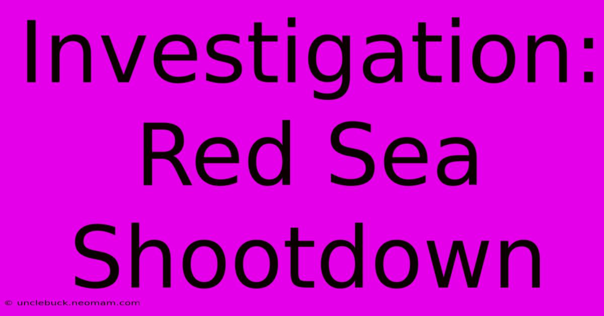 Investigation: Red Sea Shootdown