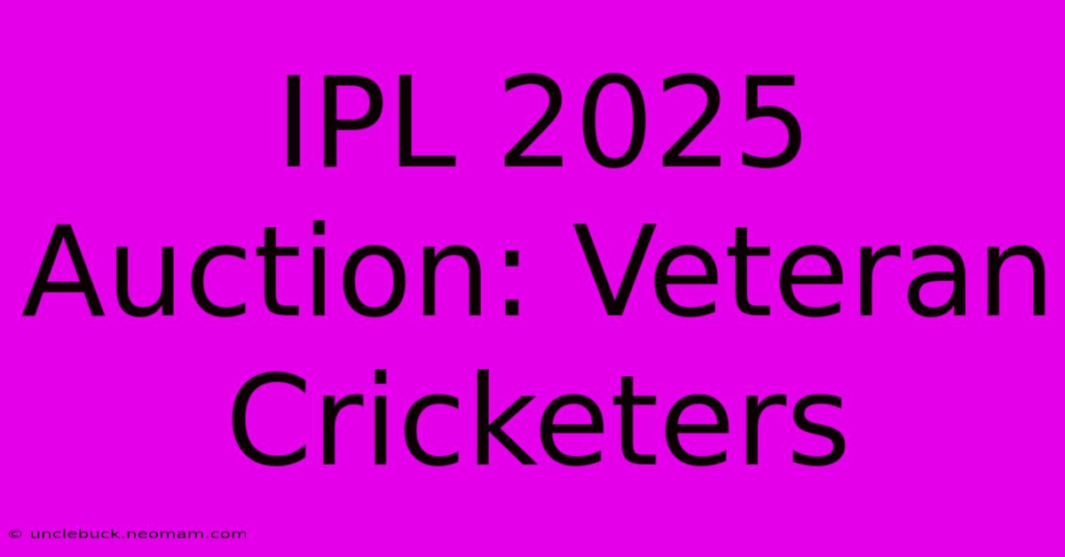 IPL 2025 Auction: Veteran Cricketers