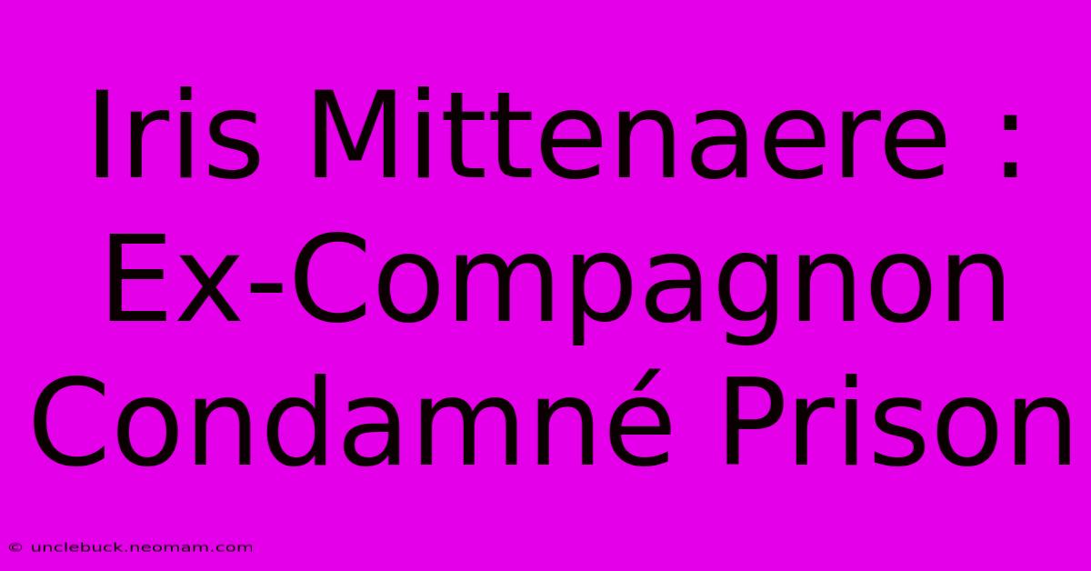 Iris Mittenaere : Ex-Compagnon Condamné Prison