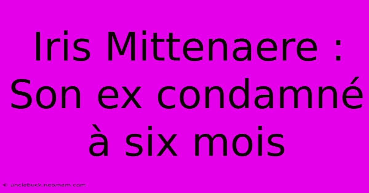 Iris Mittenaere : Son Ex Condamné À Six Mois
