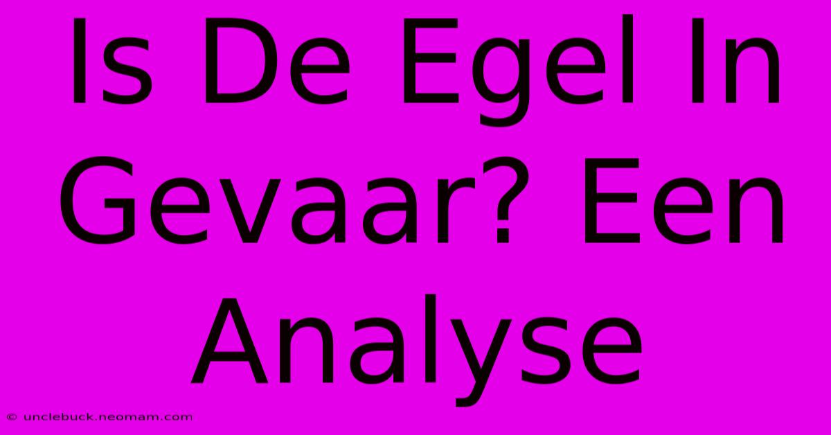 Is De Egel In Gevaar? Een Analyse