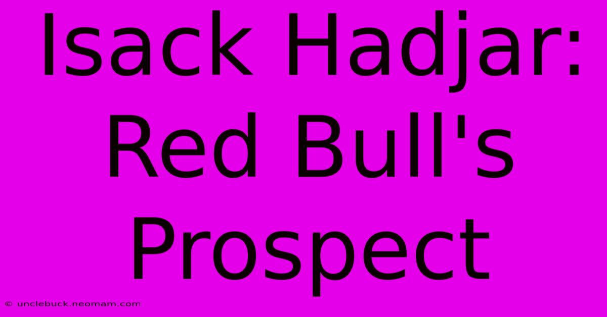 Isack Hadjar: Red Bull's Prospect