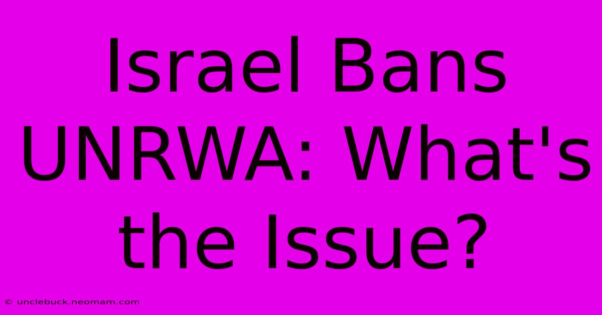 Israel Bans UNRWA: What's The Issue?