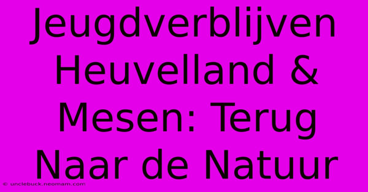 Jeugdverblijven Heuvelland & Mesen: Terug Naar De Natuur 